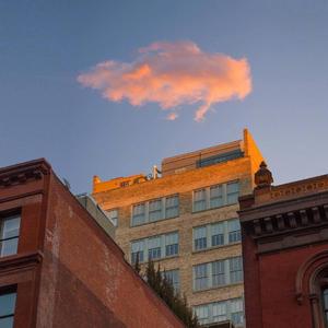 Z0Z0女人与牛20Z0
