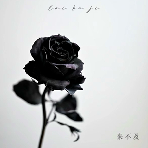 Z0Z0女人与牛20Z0
