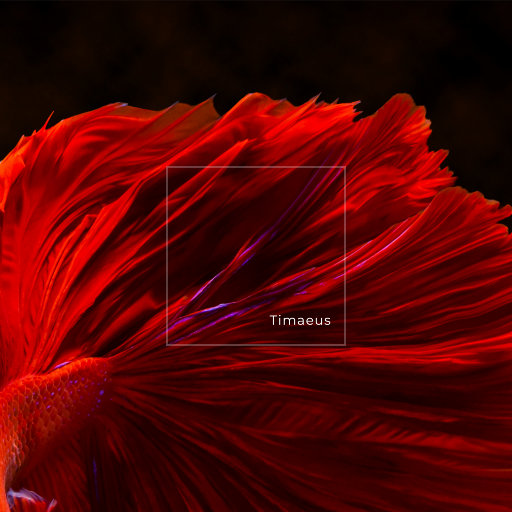 Z0Z0女人与牛20Z0
